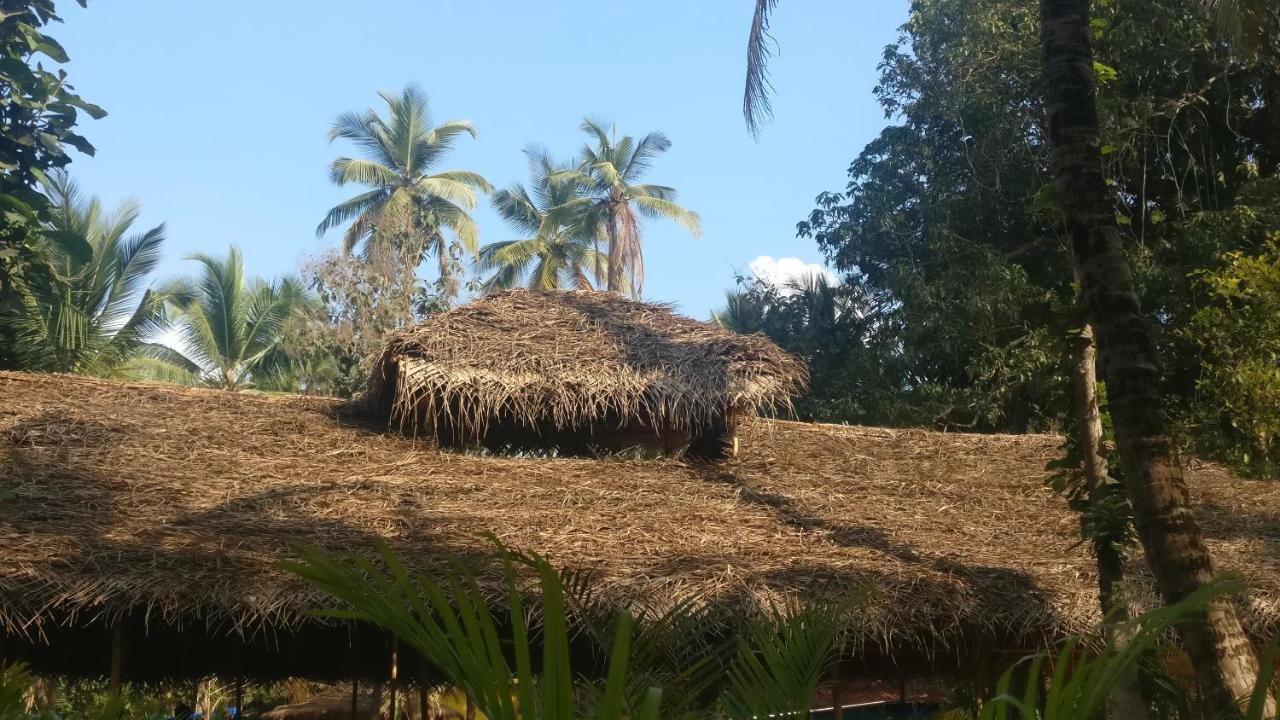 Kings Villa Resort 帕罗林 外观 照片